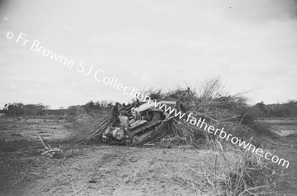 BULLDOZER  CLEARING SCRUB AND TREES  NEAR LAKE